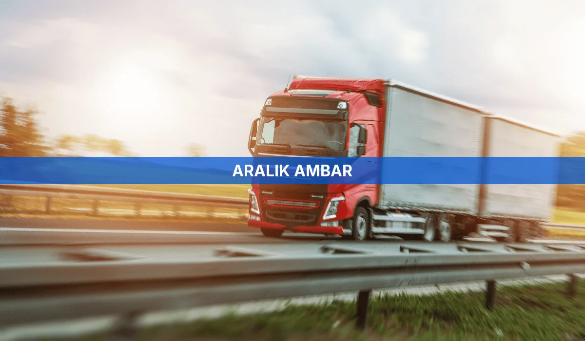 Aralık Ambar